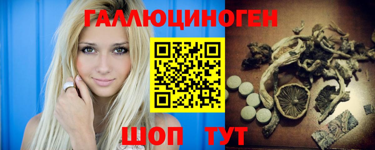 купить наркоту  Псилоцибиновые грибы ЛСД  Вход с VPN  Выборг  Псилоцибиновые грибы MAGIC MUSHROOMS 