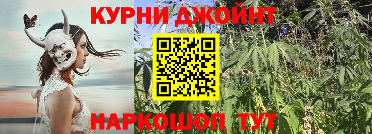 Шишки марихуана MAZAR Выборг